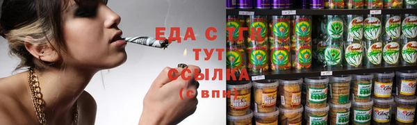 индика Баксан
