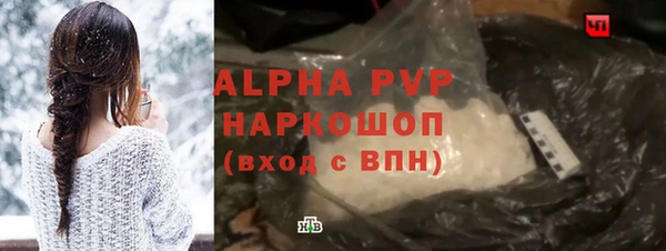 индика Баксан