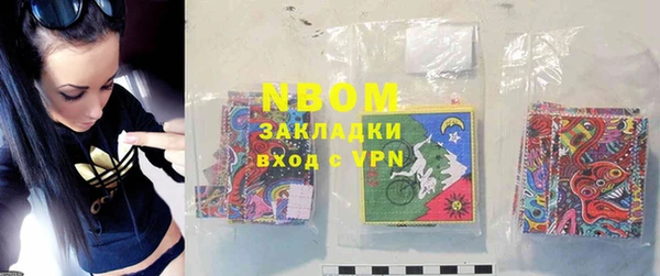 индика Баксан