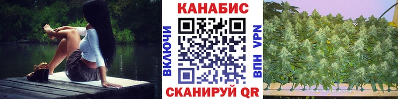 купить наркоту  OMG как зайти  Марихуана OG Kush  Черняховск 